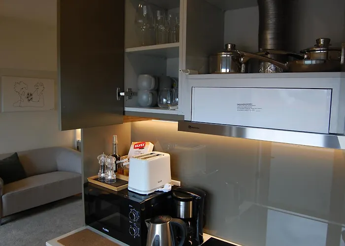 Penthouse Bolhao 公寓