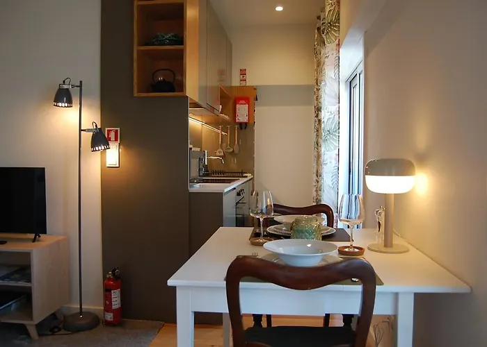 Apartment Penthouse Bolhao *